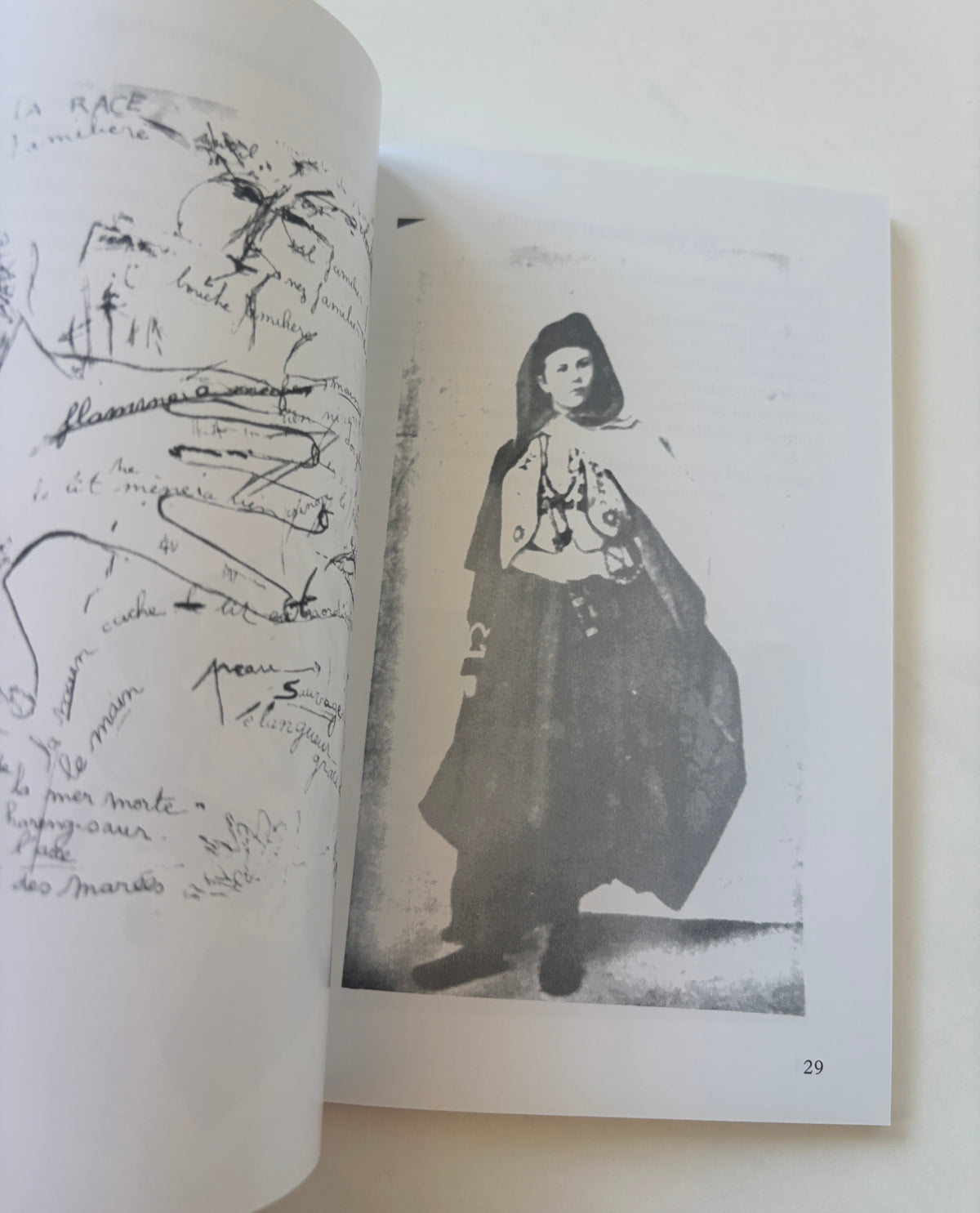 Desiderata / Lizzy Mercier Descloux / Patti Smith Foreword / 2022 / Inpatient Press