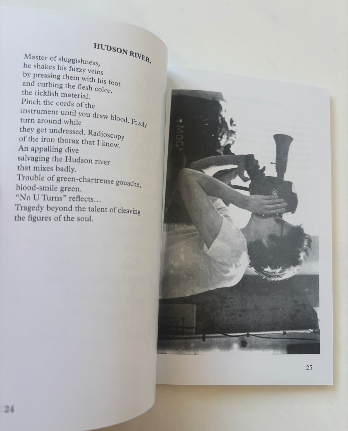 Desiderata / Lizzy Mercier Descloux / Patti Smith Foreword / 2022 / Inpatient Press
