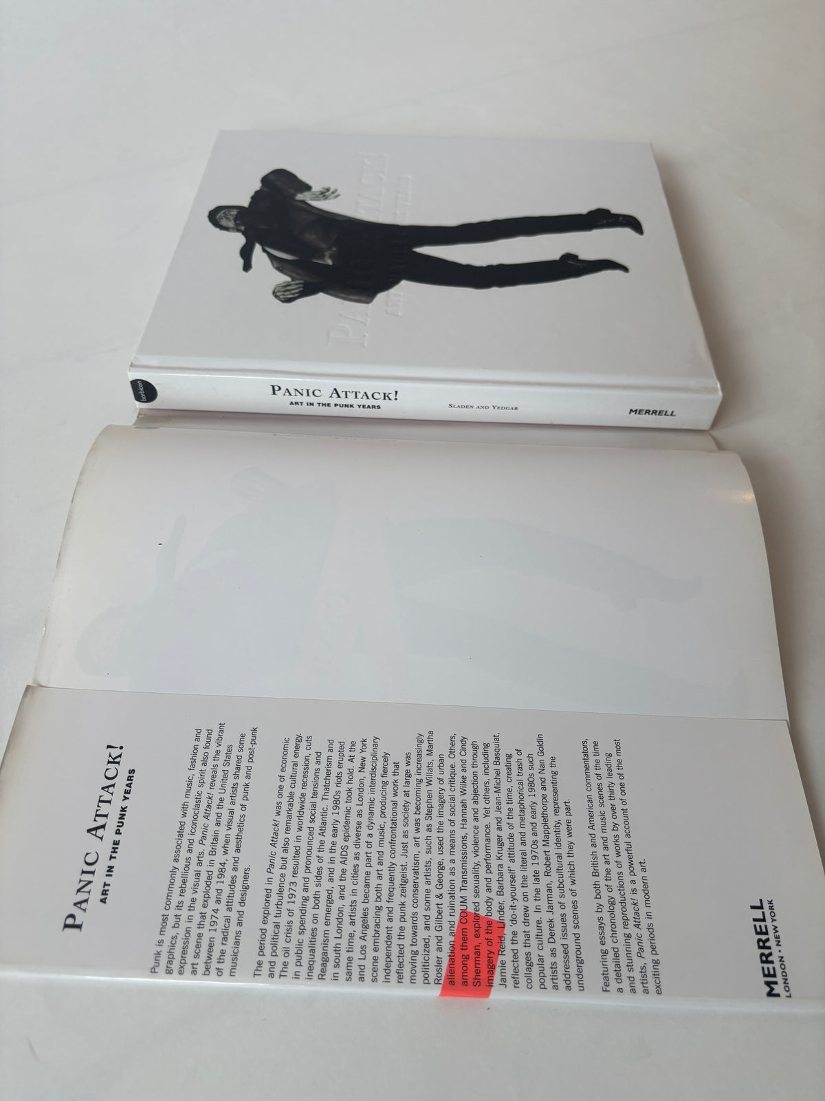 Panic Attack! Art in the Punk Years / Raymond Pettibon, COUM, Basquiat, Jamie Reid / 2007 / Merrell
