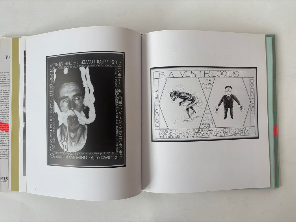 Panic Attack! Art in the Punk Years / Raymond Pettibon, COUM, Basquiat, Jamie Reid / 2007 / Merrell
