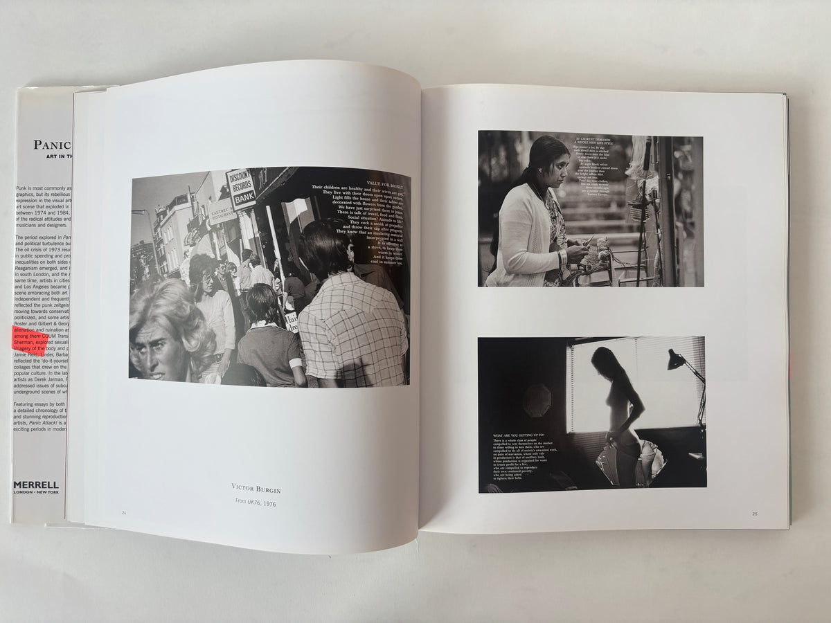Panic Attack! Art in the Punk Years / Raymond Pettibon, COUM, Basquiat, Jamie Reid / 2007 / Merrell