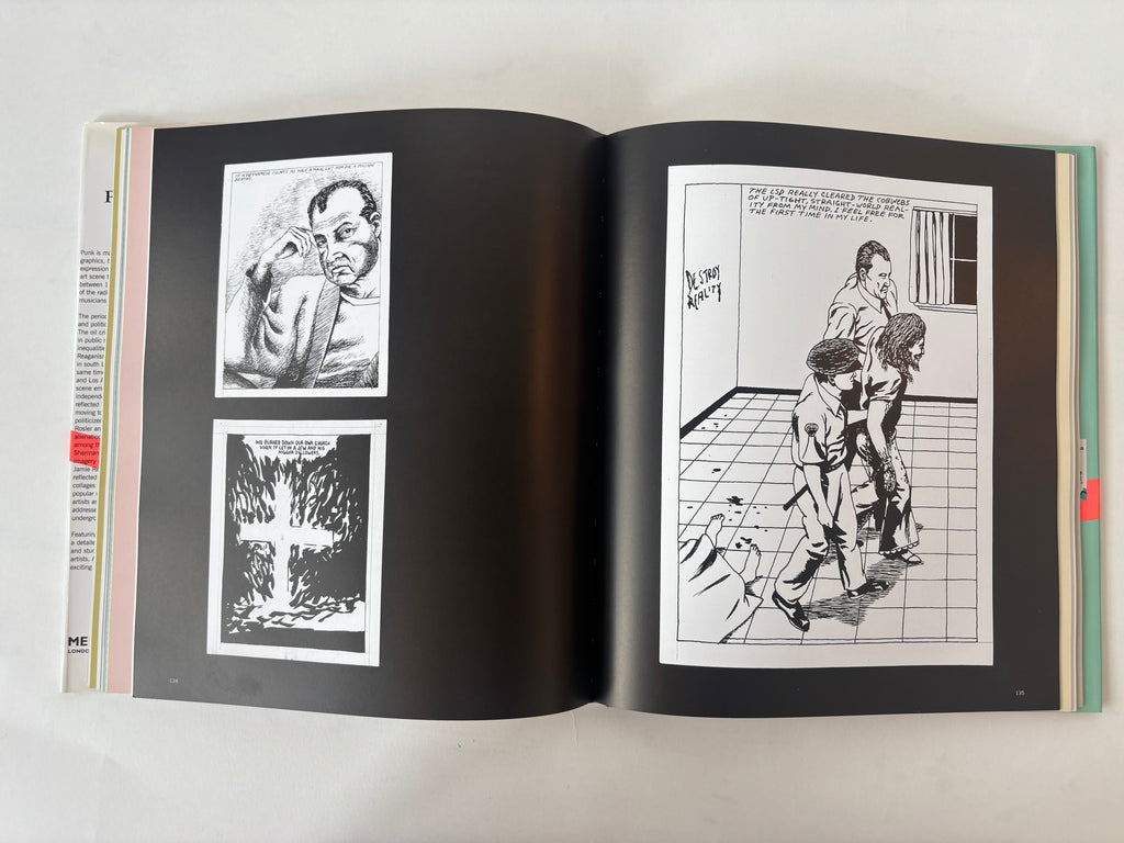 Panic Attack! Art in the Punk Years / Raymond Pettibon, COUM, Basquiat, Jamie Reid / 2007 / Merrell