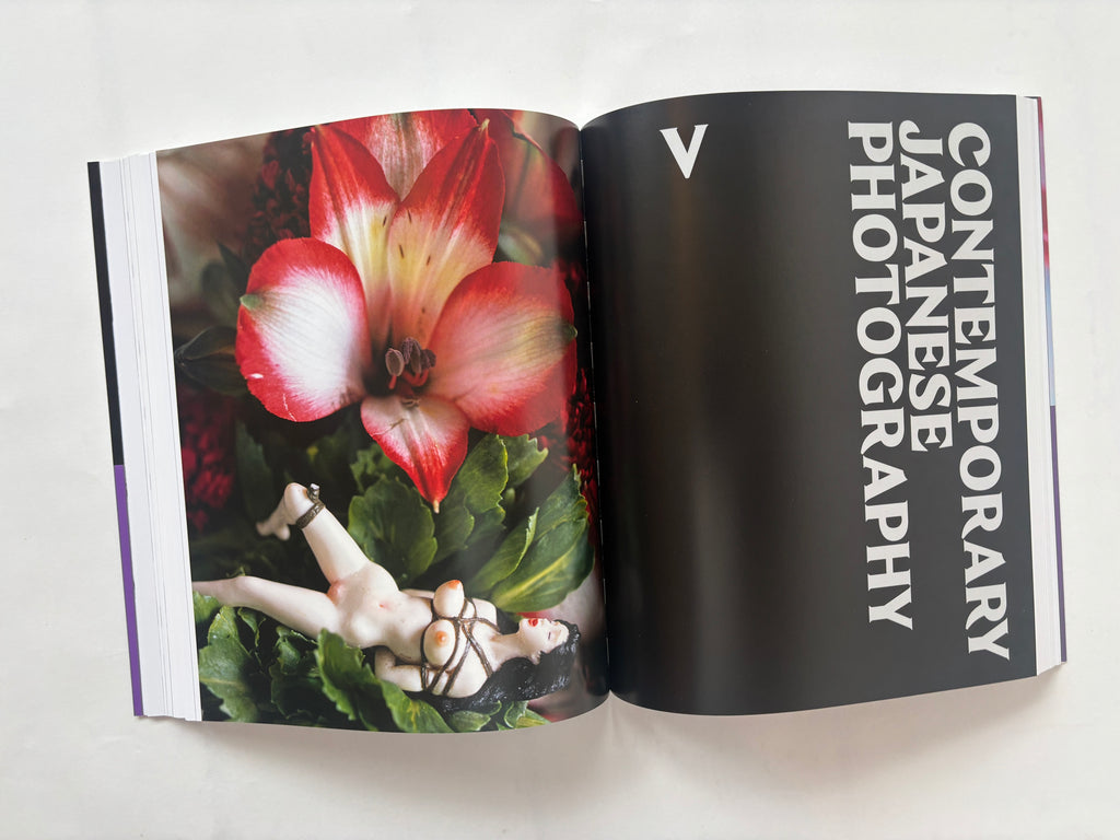 Ravens & Red Lipstick: Japanese Photography Since 1945 / Lena Fritsch / 2018 / Thames & Hudson /
