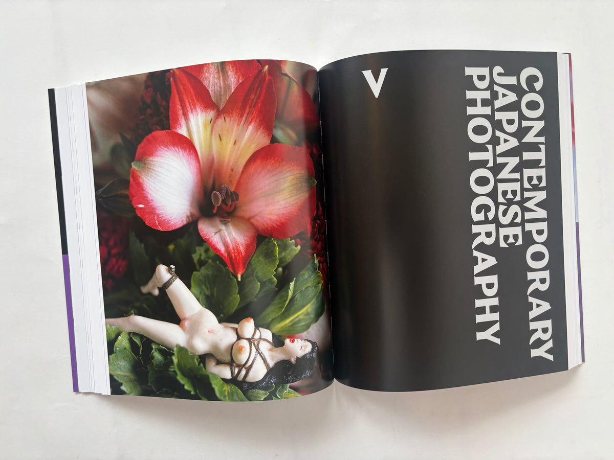 Ravens & Red Lipstick: Japanese Photography Since 1945 / Lena Fritsch / 2018 / Thames & Hudson /