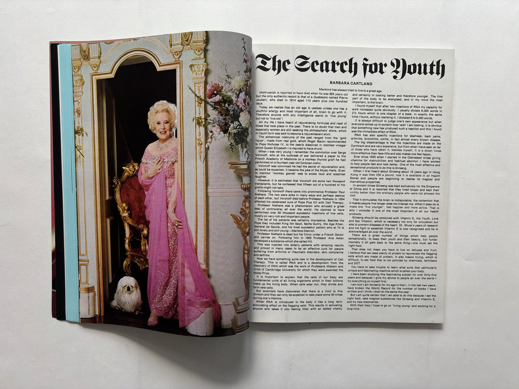Deluxe #2 / Vivienne Westwood, Brian Eno et al / 1978 / Deluxe Publications