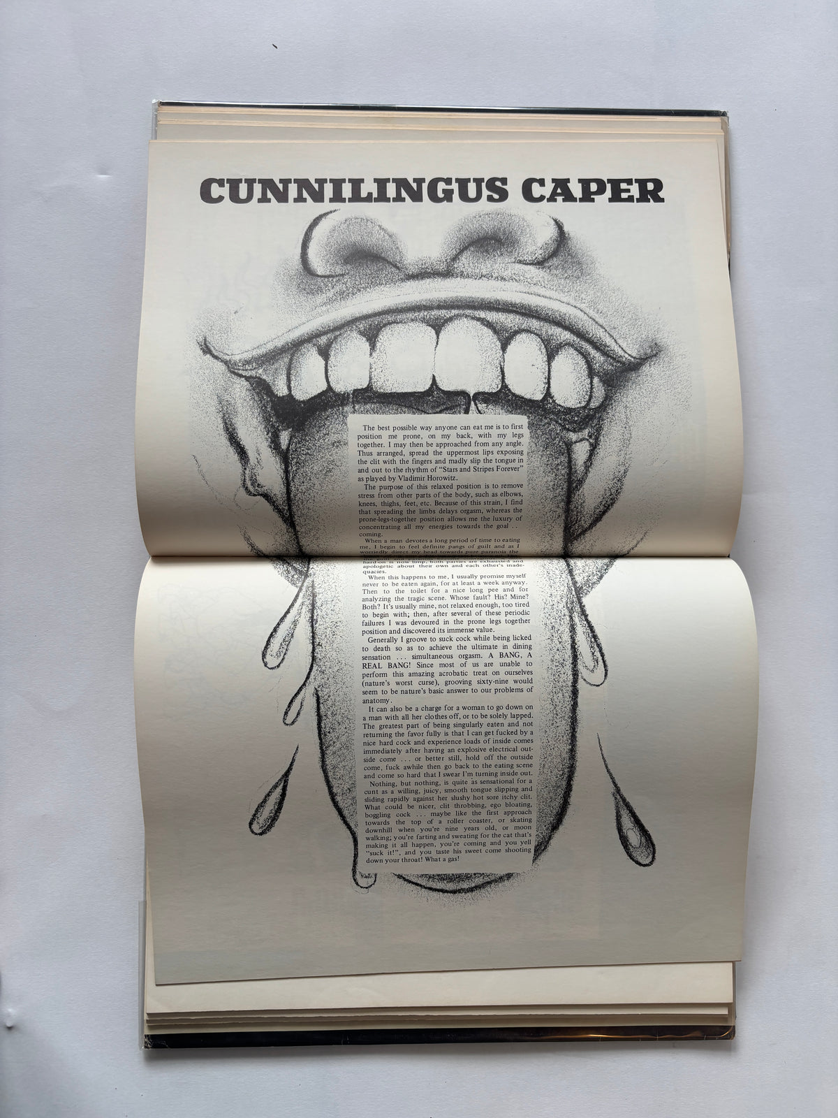 The Screw Reader / Al Goldstein & Jim Buckley / 1971 / Lyle Stuart