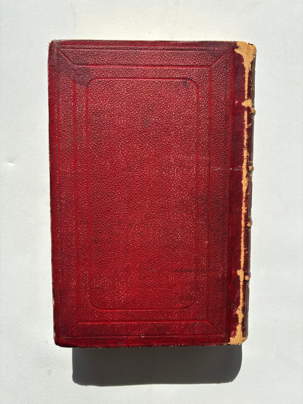 Costumes Anciens et Modernes / Two Volumes/Complete / Cesare Vecellio / 1860 / Firmin Didot