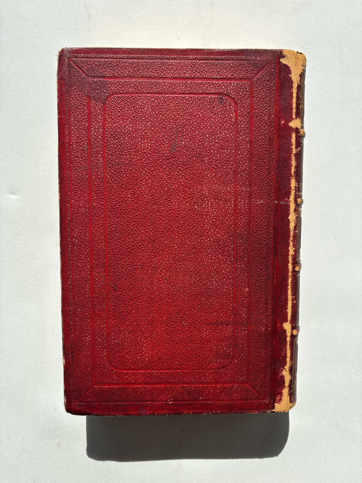 Costumes Anciens et Modernes / Two Volumes/Complete / Cesare Vecellio / 1860 / Firmin Didot