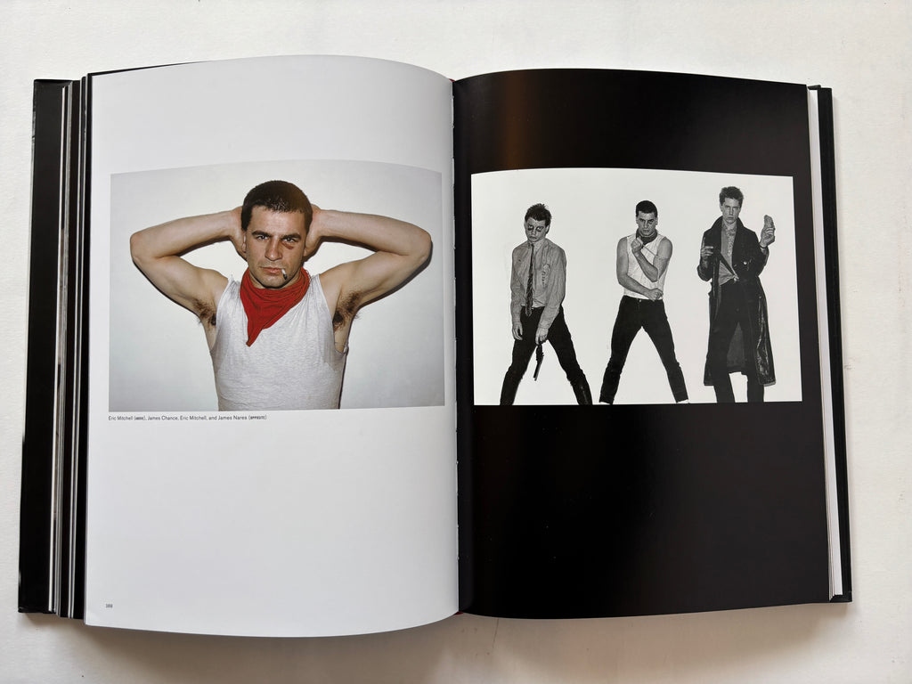 Punks, Poets & Provocateurs / Victor Bockris & Marcia Resnick / 2015 / Insight Editions