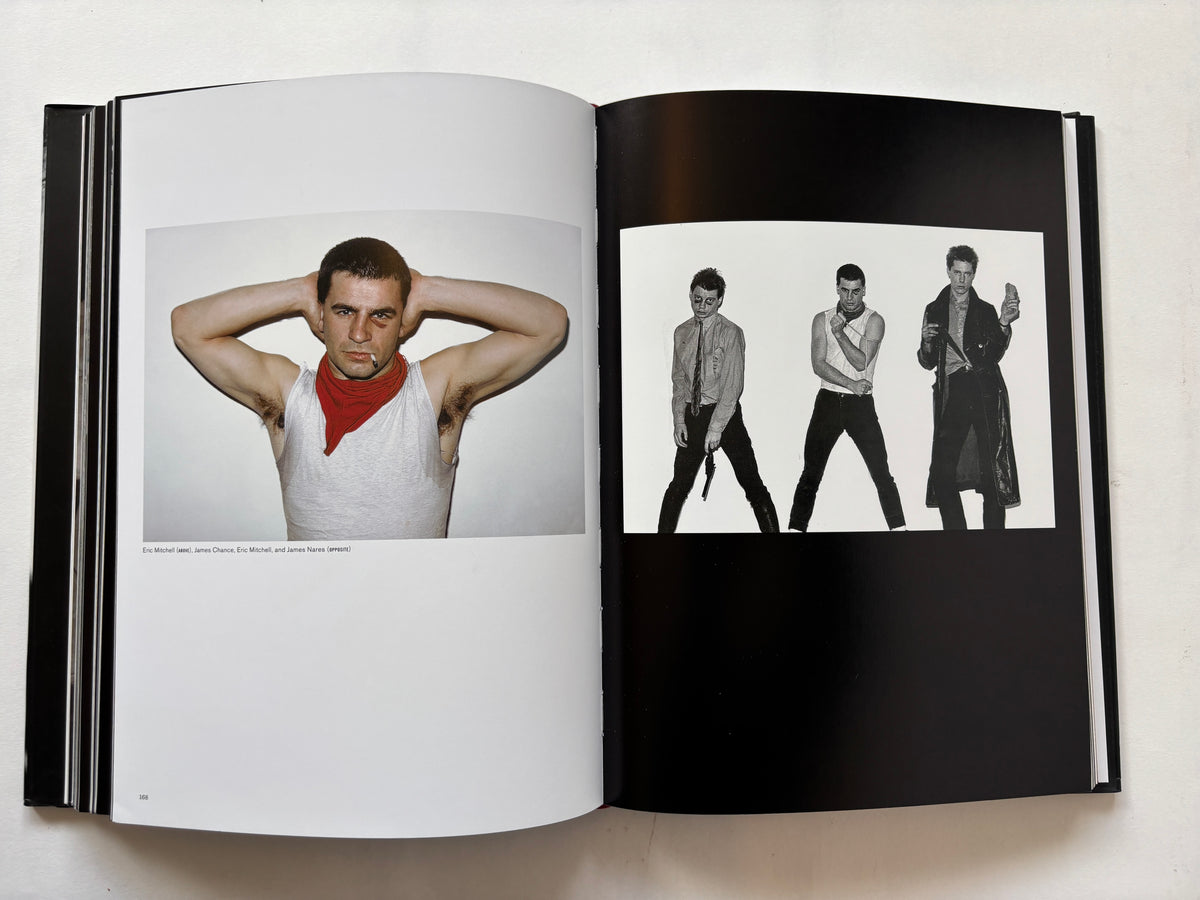 Punks, Poets & Provocateurs / Victor Bockris & Marcia Resnick / 2015 / Insight Editions