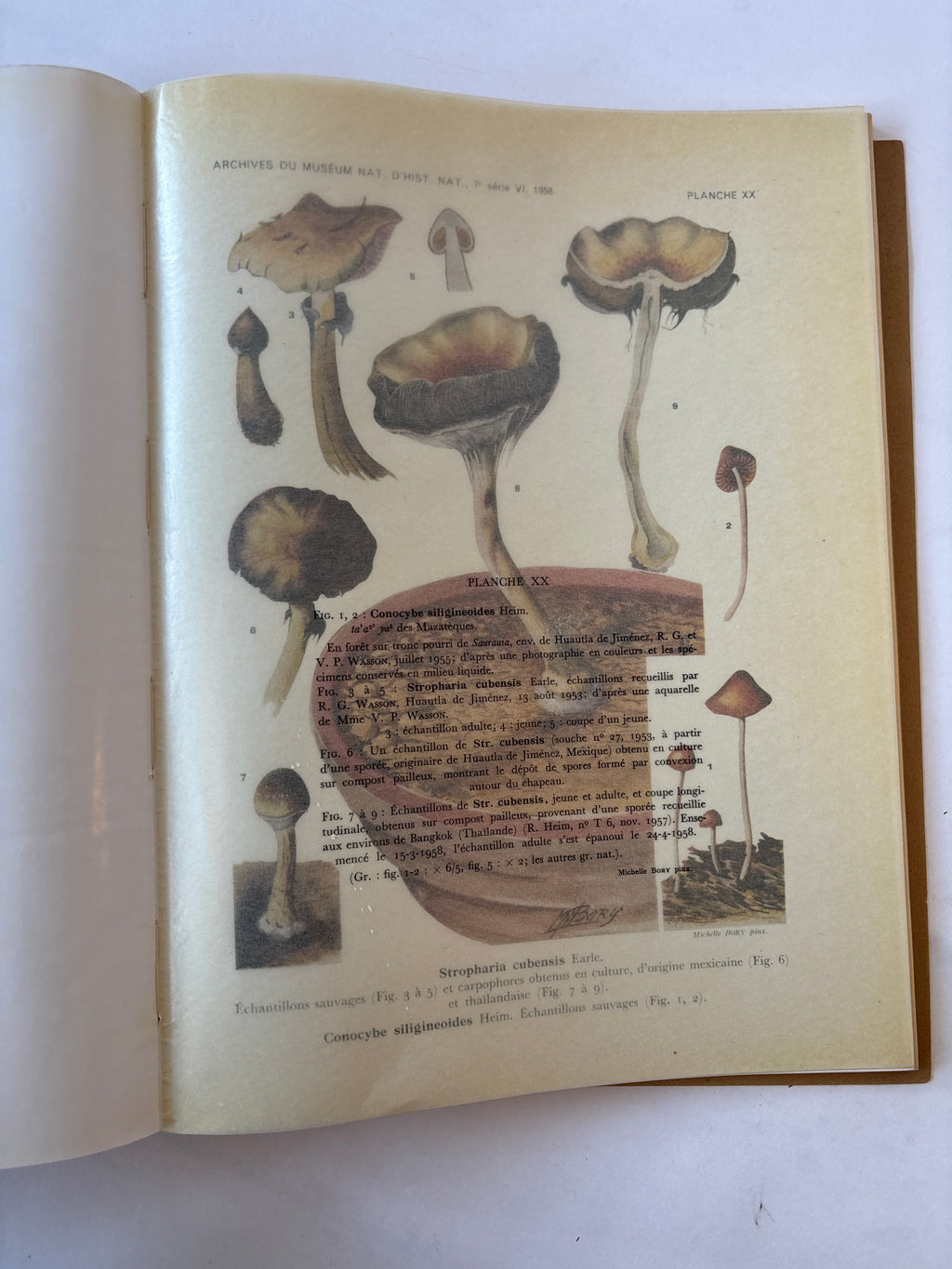 Les Champignons Hallucinogenes du Mexique / Heim & Weiss / 1958 / Editions du Muséum National D'Histoire Naturelle