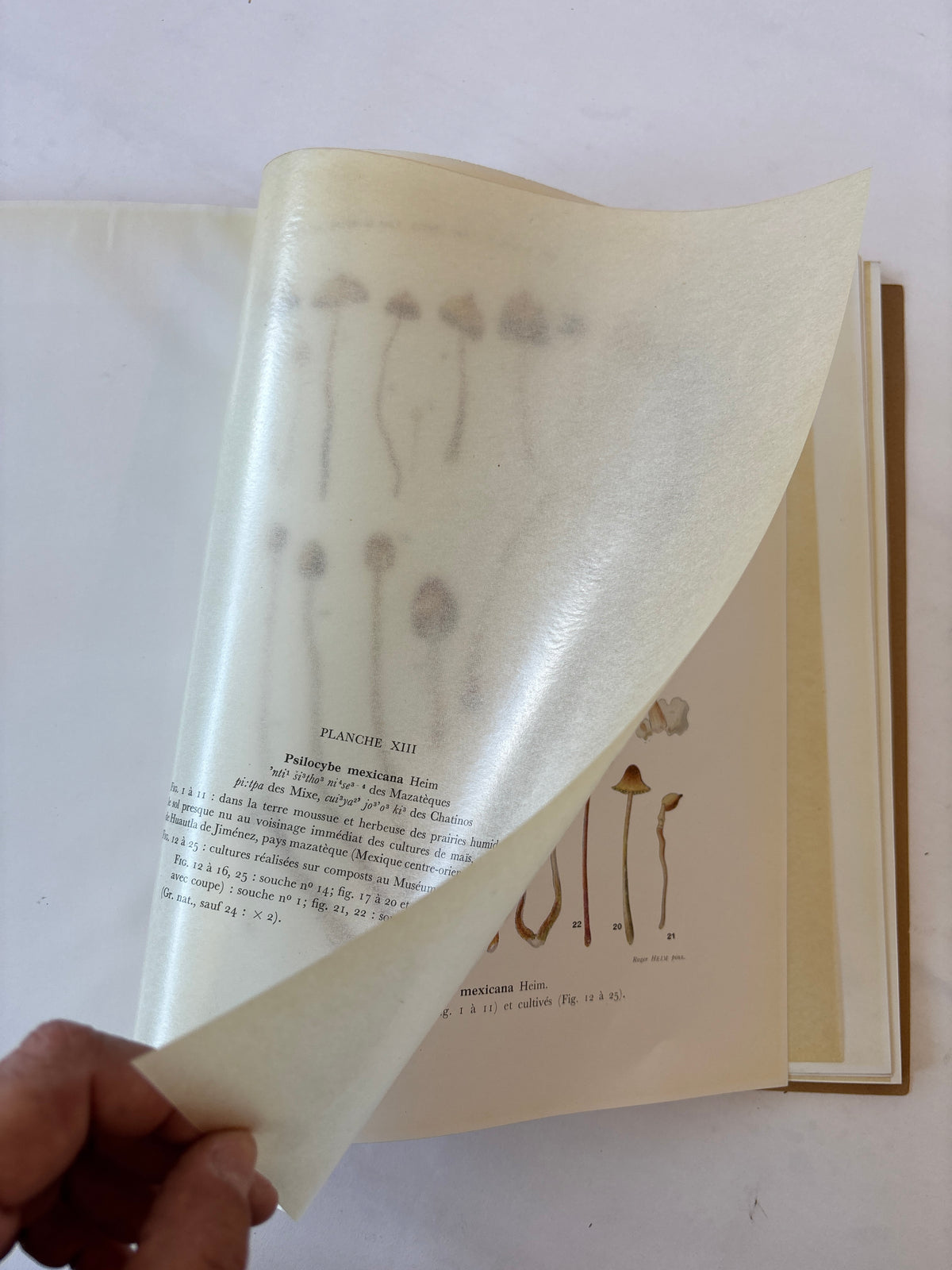 Les Champignons Hallucinogenes du Mexique / Heim & Weiss / 1958 / Editions du Muséum National D'Histoire Naturelle