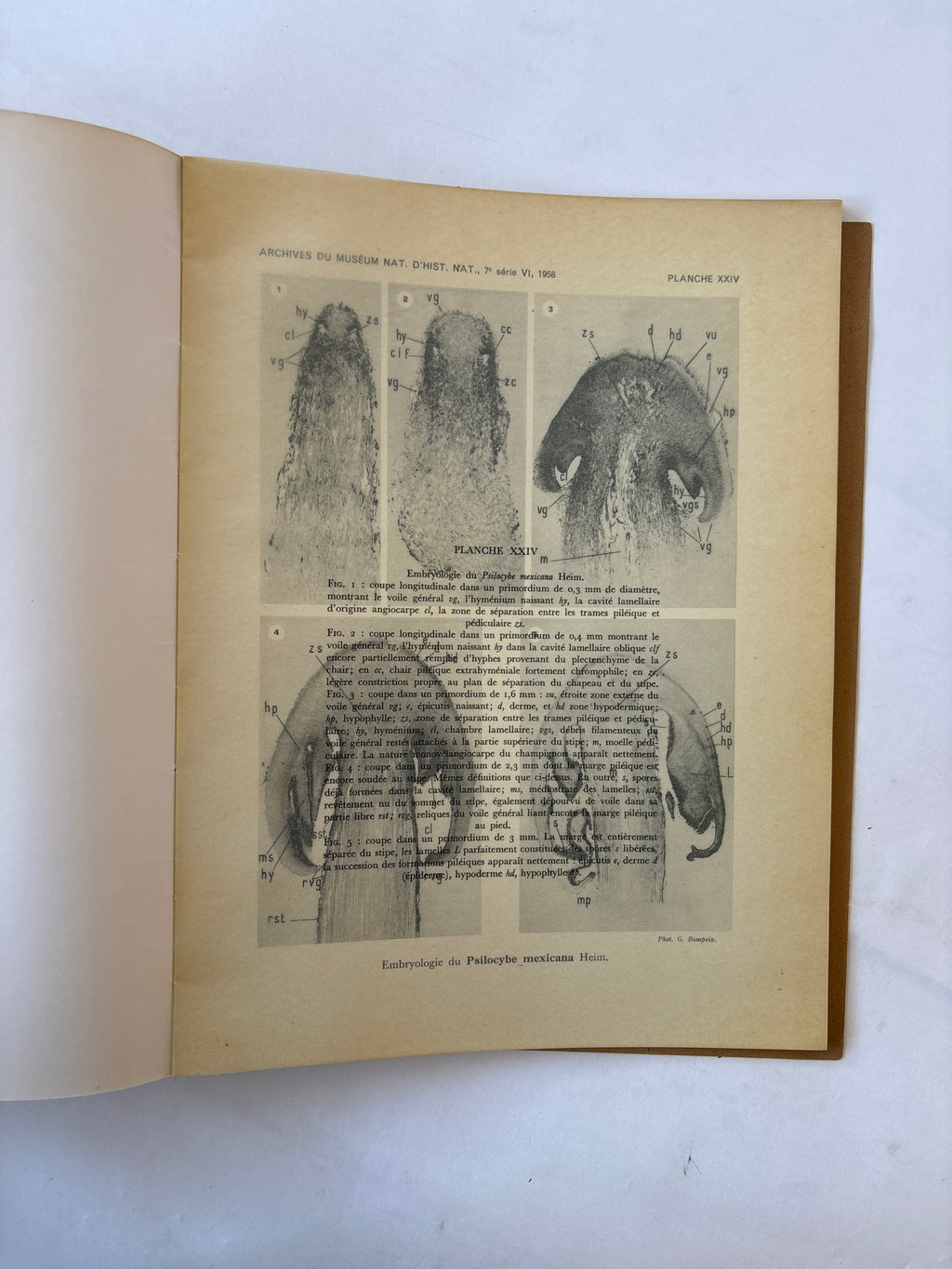 Les Champignons Hallucinogenes du Mexique / Heim & Weiss / 1958 / Editions du Muséum National D'Histoire Naturelle