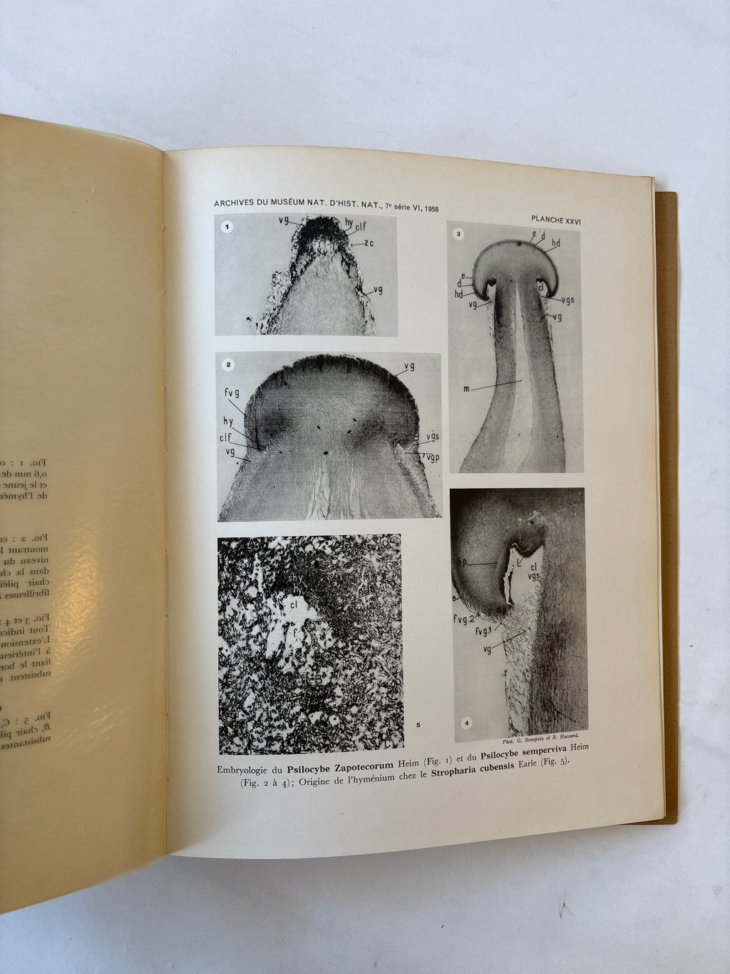 Les Champignons Hallucinogenes du Mexique / Heim & Weiss / 1958 / Editions du Muséum National D'Histoire Naturelle