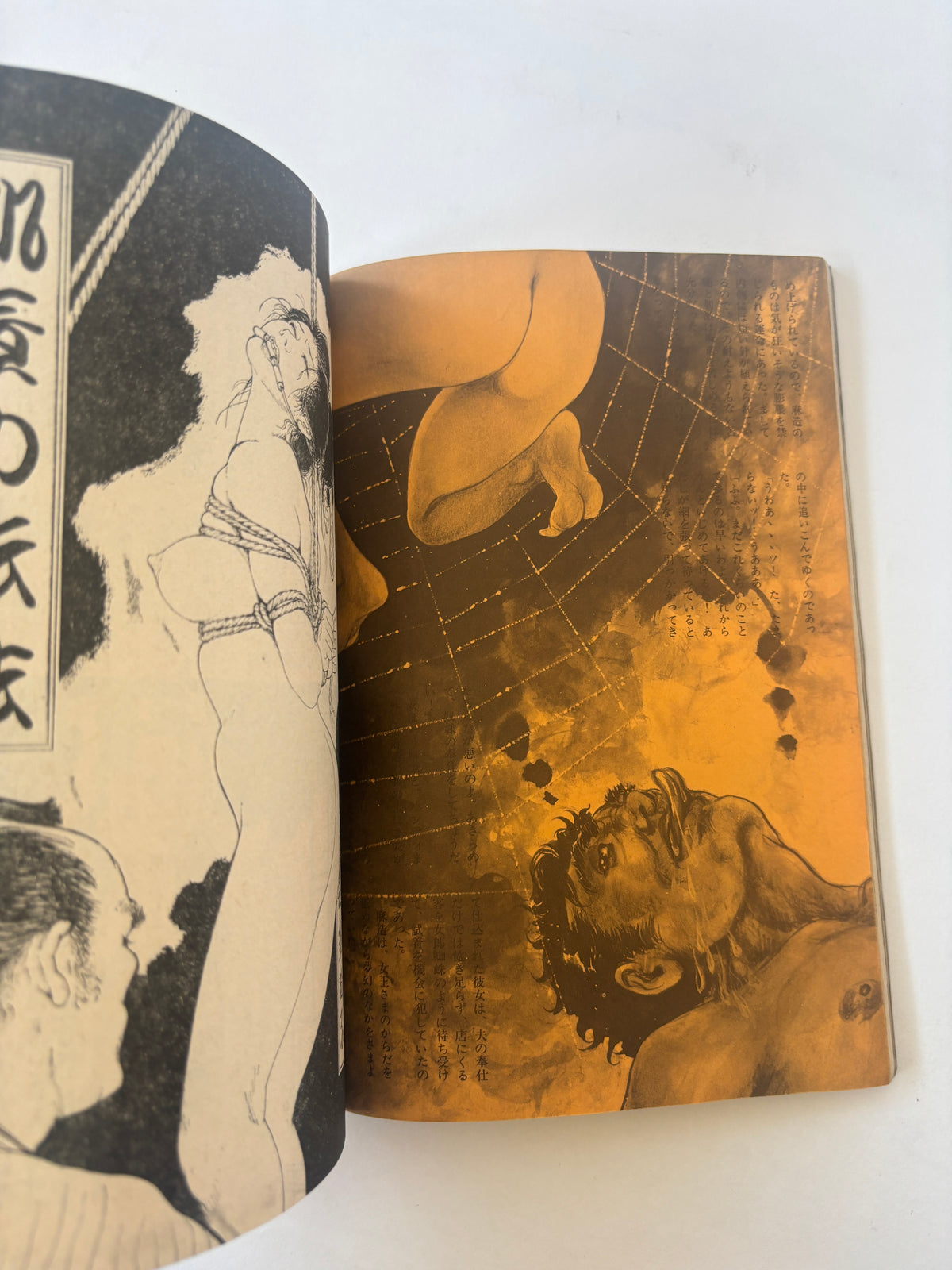 S&M  / Japanese Bondage Magazine / 1970s / Sun Publishing