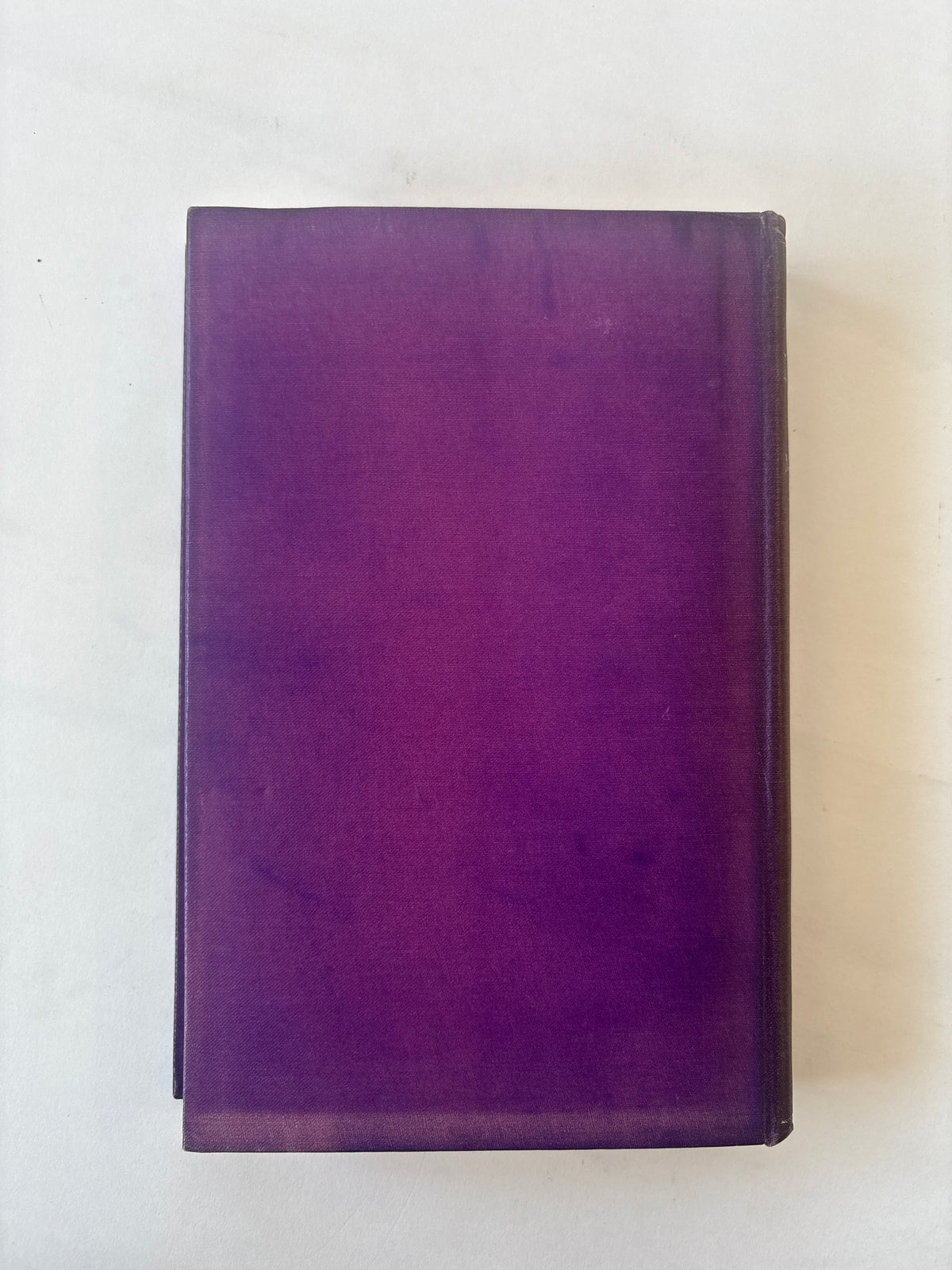 The White Brother / Michael Juste / 1st Edition / 1927 / Rider and Company