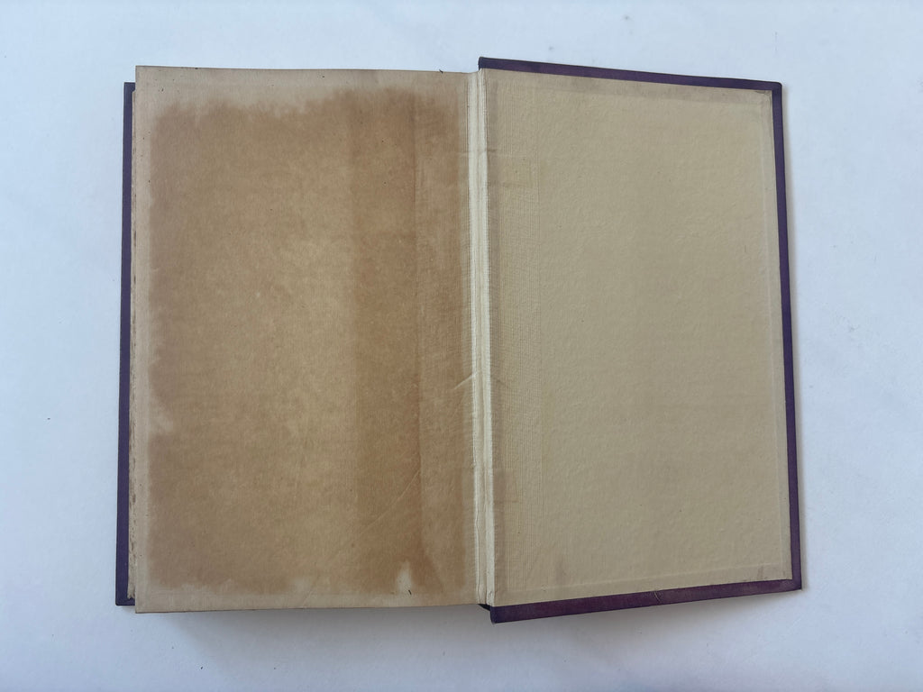 The White Brother / Michael Juste / 1st Edition / 1927 / Rider and Company