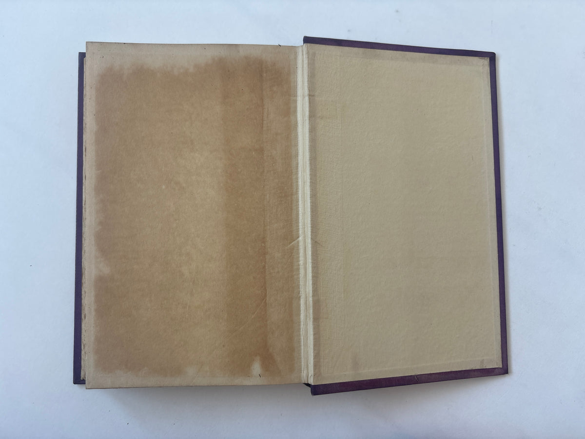 The White Brother / Michael Juste / 1st Edition / 1927 / Rider and Company