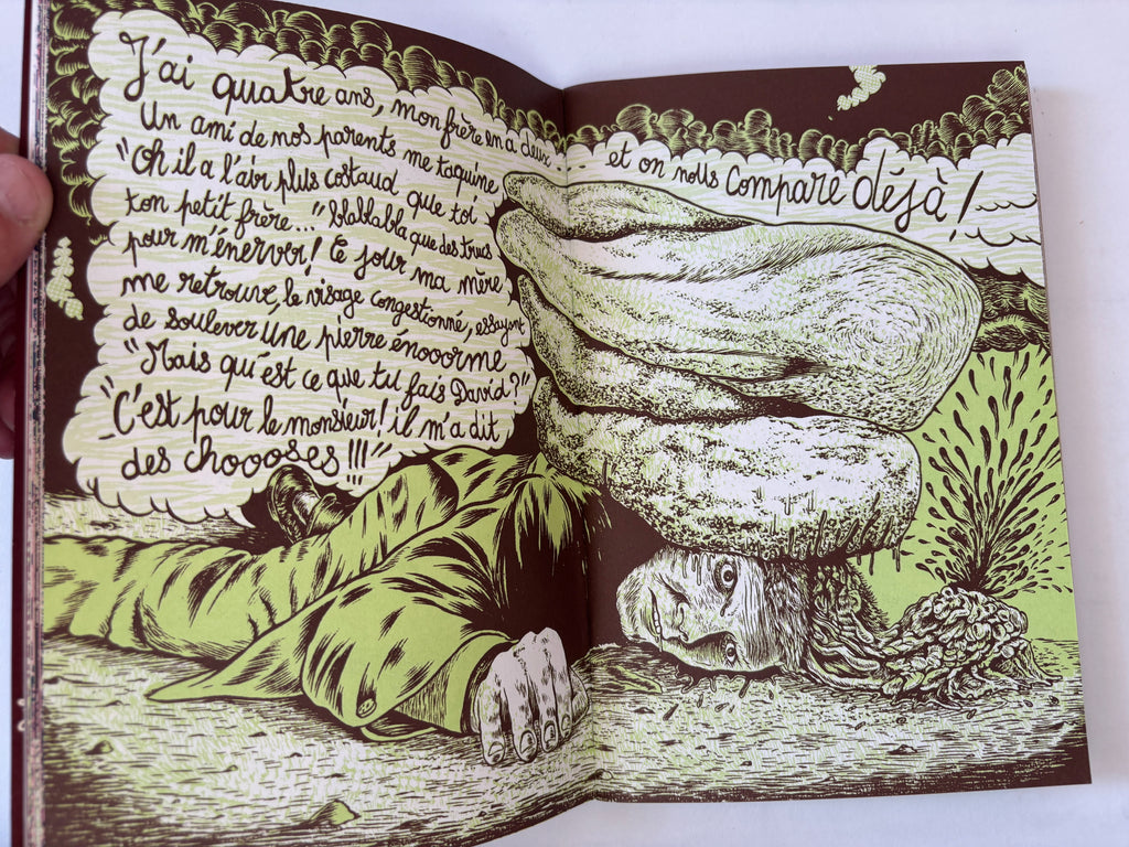 Mémoires de Batards / Les Frères Guedon / 2008/  Limited Edition 500 / Le Dernier Cri /