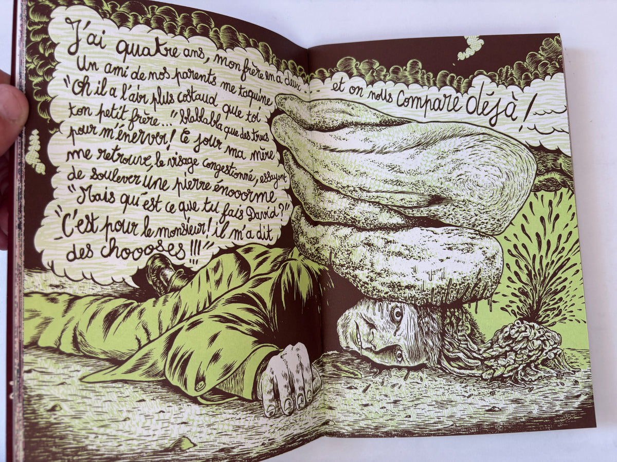 Mémoires de Batards / Les Frères Guedon / 2008/  Limited Edition 500 / Le Dernier Cri /