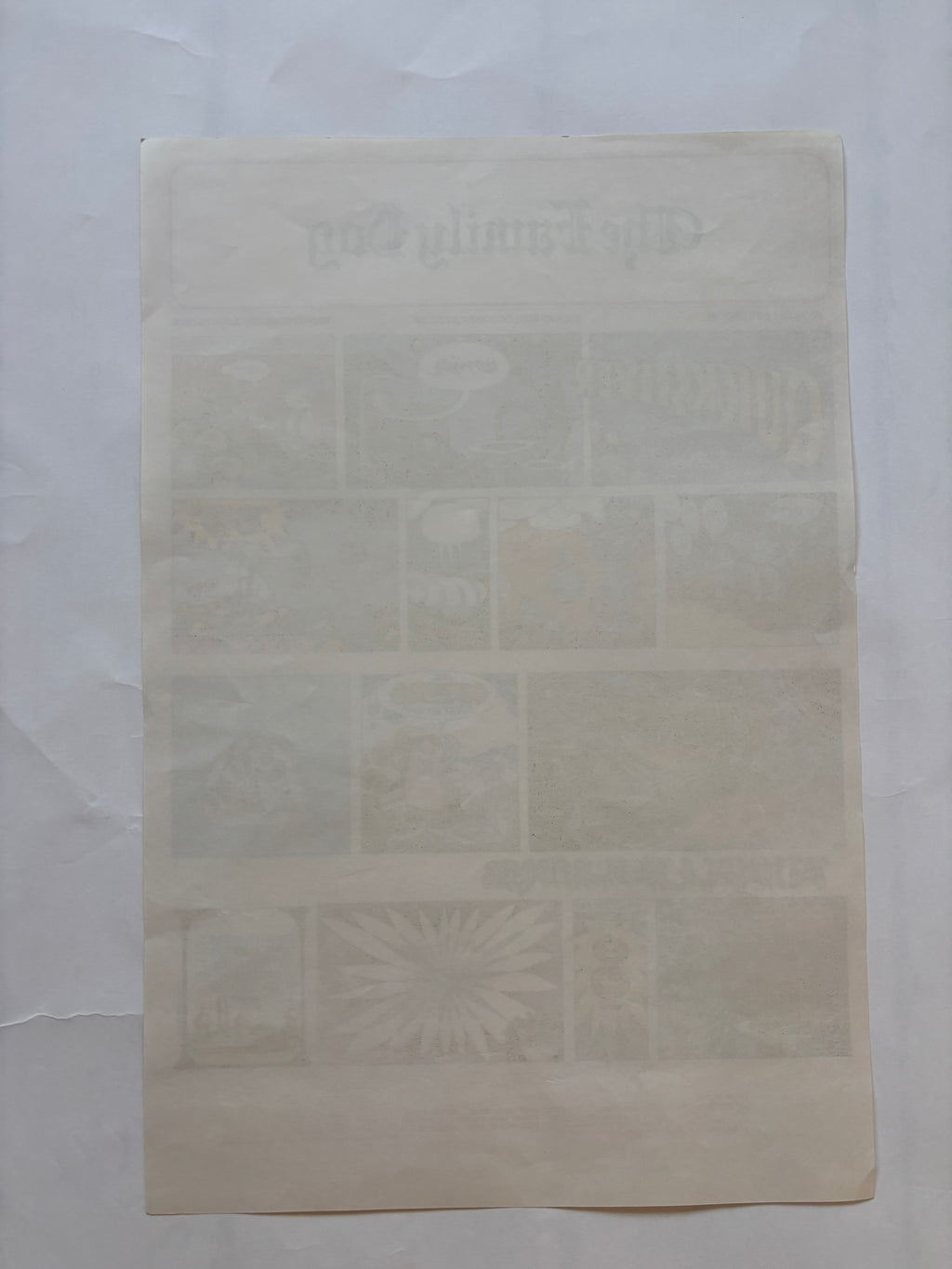 Original Family Dog Psychedelic Concert Poster / Rick Griffin / Feat. Quicksilver Messenger Service, Taj Mahal / 1967