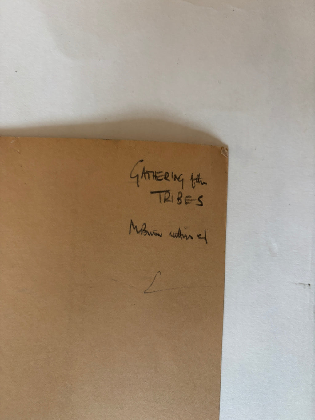 Human Be-In / Michael Bowen / 1967 / Feat. Alan Ginsberg & Timothy Leary / Original Signed Poster