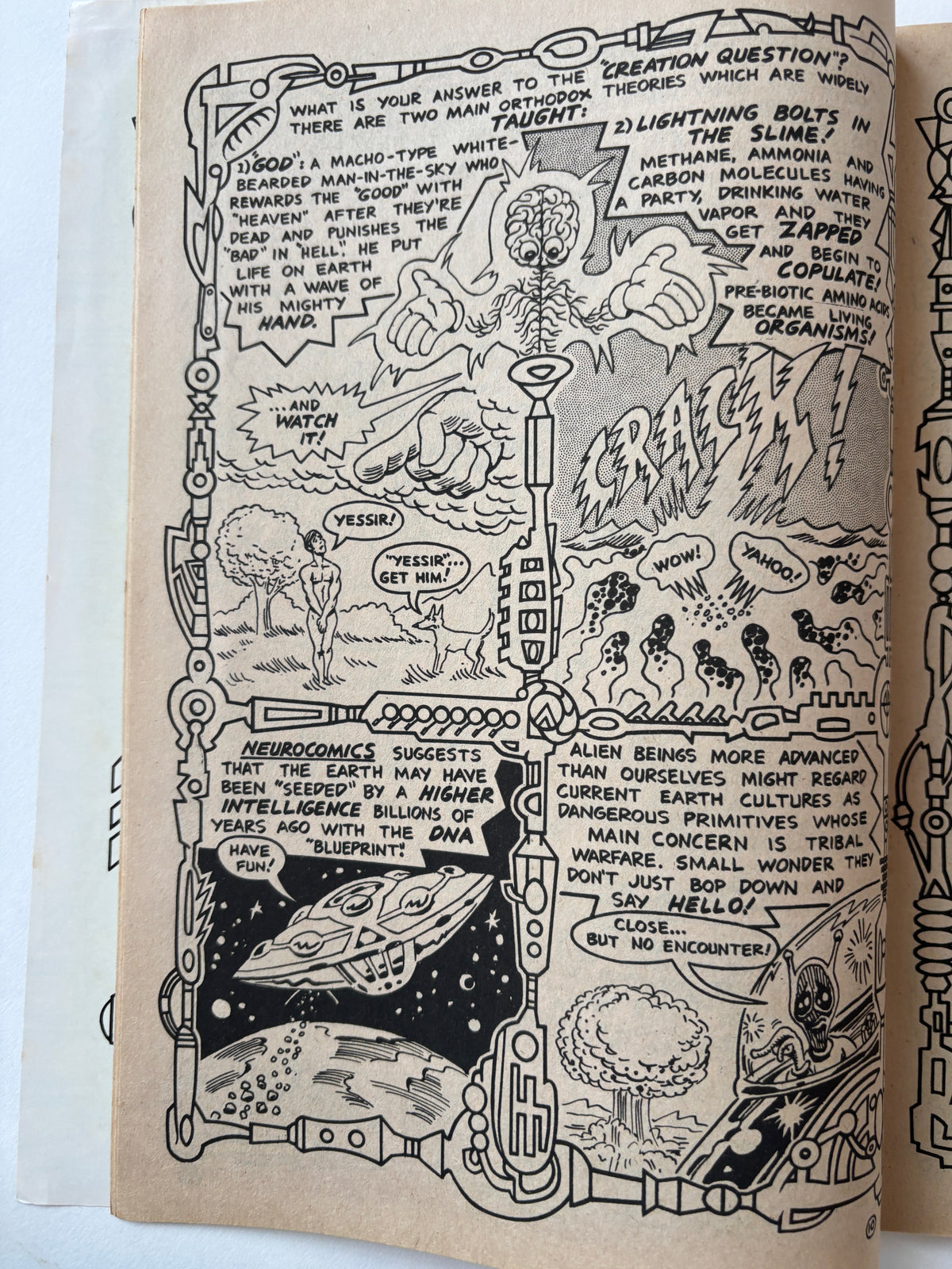 Neurocomics / Timothy Leary / 1979 / Last Gasp Comics