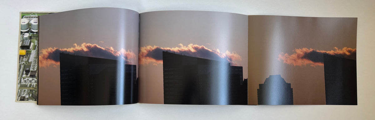 Lou Reed's New York / 2006 / Steidl