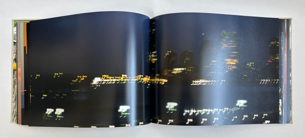 Lou Reed's New York / 2006 / Steidl