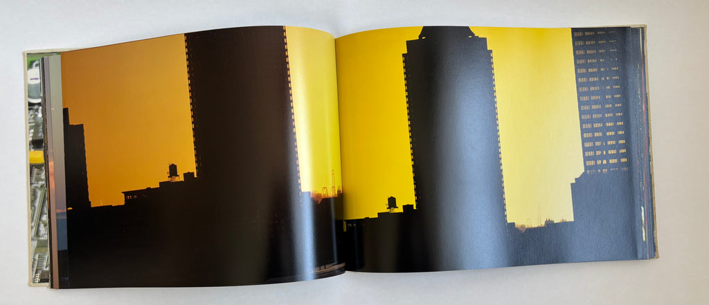 Lou Reed's New York / 2006 / Steidl